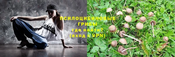 прущие грибы Верхнеуральск