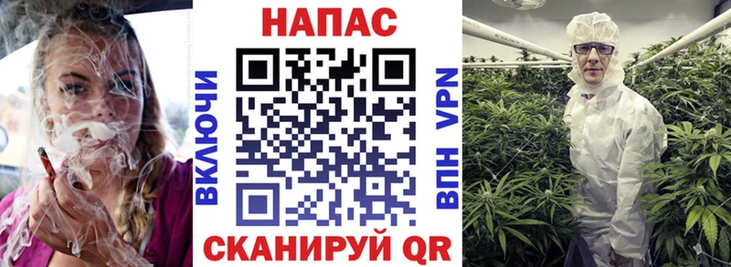 блэк спрут вход  Нижневартовск  Бошки Шишки Amnesia 